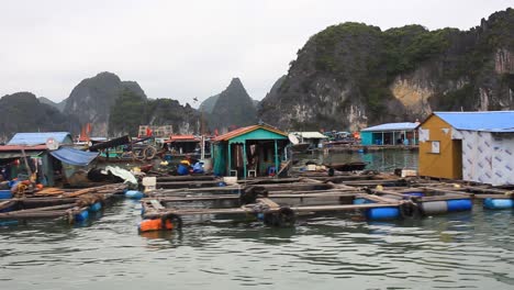 traditional-floating-village-in-Halong-Bay,-Cat-Ba,-Vietnam,-poor-fishermen-living-and-working-in-floating-houses