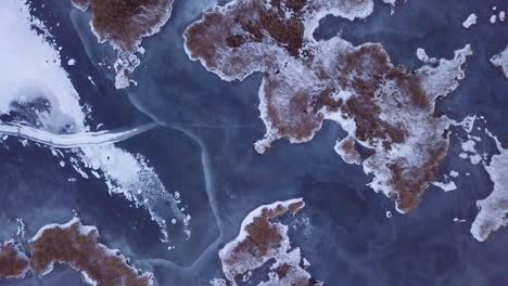 Aerial-birdseye-view-of-frozen-lake-Liepaja-during-the-winter,-blue-ice-with-cracks,-dry-yellowed-reed-islands,-overcast-winter-day,-wide-drone-shot-moving-forward