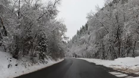 Conduciendo-Por-árboles-Helados-En-Una-Carretera-De-Montaña-Nevada-En-El-Frío-Día-De-Diciembre-De-Utah
