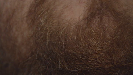 Close-up-of-male-bearded-chin