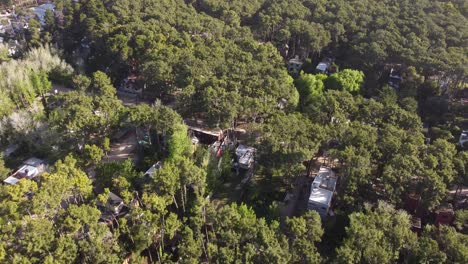 Aerial-flyover-residential-houses-between-green-dense-treetops-during-sunny-day--Mar-de-las-Pampas,Argentina