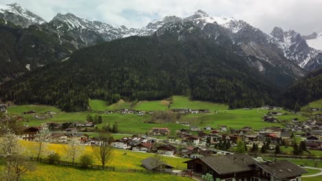 Landscape-of-Neustift-in-Stubai-Valley-with-a-meadow,-cherry-and-dandelion-blossoms-and-a-farm