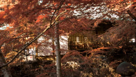 Looking-through-the-orange-momiji-leaves-in-the-autumn-season-with-a-temple-in-the-distance-in-Kyoto,-Japan-soft-lighting
