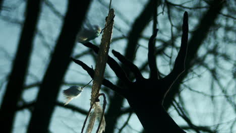 Long-fingers-of-evil-spirit-reach-for-dreamcatcher-hanging-from-tree