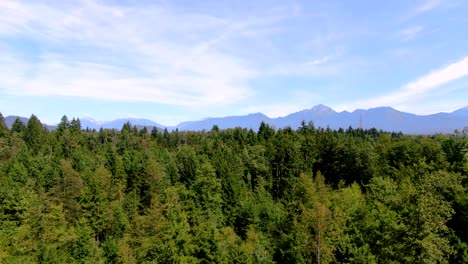 Aerial-drone-shot-flying-over-trees-on-a-bright-sunny-day-with-a-few-clouds-in-the-sky-and-beautiful-mountains-in-the-background