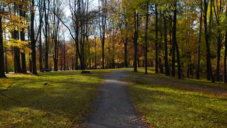 Fallende-Blätter-Im-Park-Im-Herbst