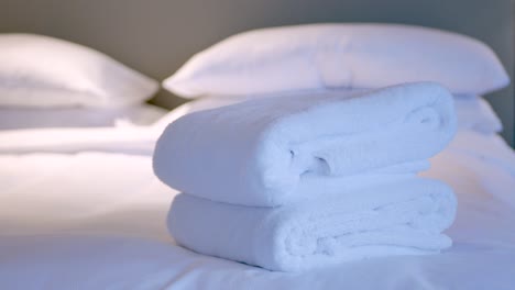 Der-Housekeeping-Service-Des-Hotels-Bringt-Handtücher-Ins-Schlafzimmer