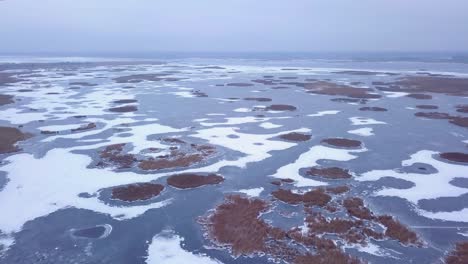 Aerial-view-of-frozen-lake-Liepaja-during-the-winter,-blue-ice-with-cracks,-dry-yellowed-reed-islands,-overcast-winter-day,-wide-drone-shot-moving-forward-high
