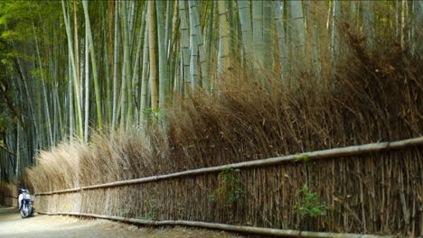 Wall-made-out-of-bamboo-leaves-midday-soft-light-in-Kyoto,-Japan
