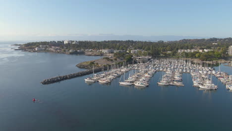 Drone-over-sailboats-in-harbour-near-Oak-Bay-BC