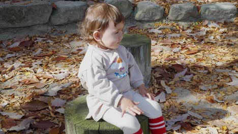Baby-toddler-girl-sitting-on-wooden-stump-in-a-park-and-clapping-on-her-knees-with-excitement