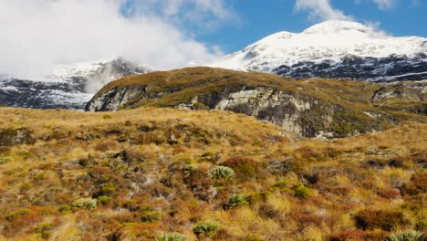 Panoramaaufnahme-Von-Wunderschönen-Getrockneten-Pflanzen-Auf-Einem-Hügel-Im-Rees-Tal-Und-Schneebedeckten-Bergen-Im-Hintergrund