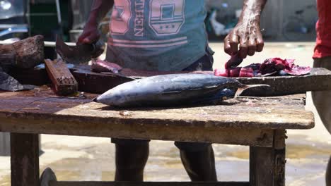 Enorme-Pescado-Siendo-Eviscerado-Al-Aire-Libre-En-El-Mercado-Local-De-Pescado-En-Negombo,-Sri-Lanka