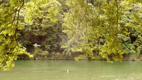 Diaaufnahme-Eines-Wunderschönen-Flusses,-Der-Durch-Bäume-In-Kyoto,-Japan,-4k-Zeitlupe-Blickt
