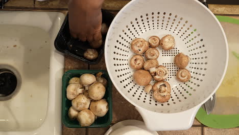 Washing-organic-cremini-mushrooms-in-the-kitchen-sink-to-use-in-a-vegetarian,-vegan-recipe---overhead-view-WILD-RICE-SERIES