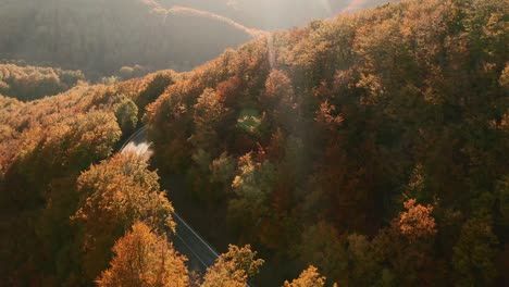 Schöne-Luftaufnahmen-Von-Oben-Einer-Malerischen-Straße,-Die-Sich-In-Einem-Herbstfarbenen-Wald-Windet