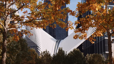 Autumn-trees-with-white-Oculus-building-architecture-in-background,-Manhattan