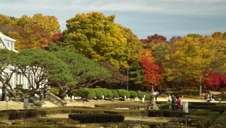 Gente-Coreana-Con-Máscaras-Caminando-En-Un-Parque-Y-Visitando-El-Patrimonio-Cultural-Gran-Invernadero-Del-Palacio-Changgyeonggung-Seúl,-Corea-Del-Sur