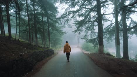 A-guy-wearing-yellow-jacket-walking-inside-forest-full-of-cedar-trees-,in-asphalt-road-and-foggy-weather-,-in-chrea---algeria-