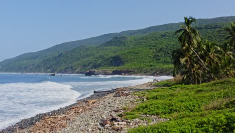 Antena:-Paraíso-Tropical-Costa-Con-Palmeras-En-La-Playa