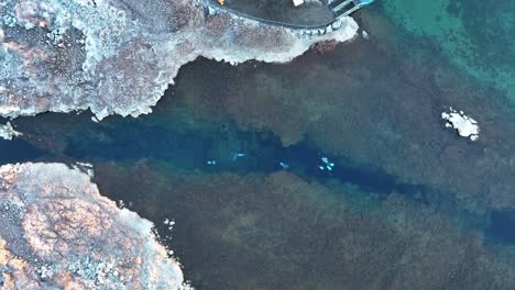 Topdown-View-Of-Divers-On-Crystal-Clear-Water-Of-Silfra-Fissure-In-Thingvellir-National-Park,-South-Iceland