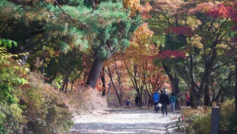 Koreaner-Mit-Schutzmasken-Besuchen-Den-Palastgarten-Von-Changgyeong,-Um-Bunte-Herbstbaumblätter-Zu-Sehen