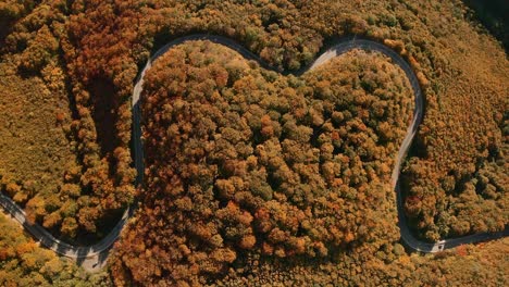 Aerial-top-down-drone-view-of-cars-cruising-along-the-scenic-road-winding-through-the-autumn-coloured-forest-in-the-picturesque-Slovak-countryside