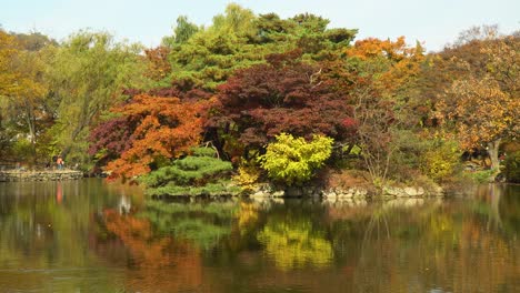 Picturesque-mix-of-Autumn-foilage-colors-mirroring-in-Chundangji-pond,-South-Korea