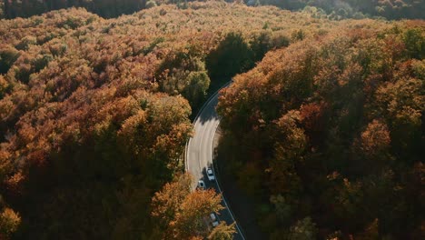 Beautiful-aerial-tilt-down-footage-of-cars-driving-on-a-scenic-road-winding-in-an-autumn-coloured-forest