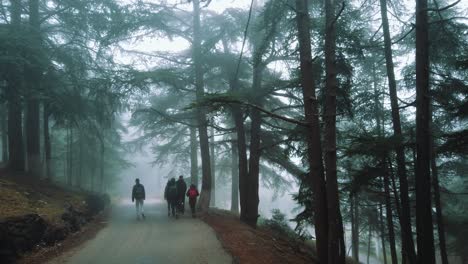 Group-of-people-walking-inside-forest-,-in-asphalt-road-,-foggy-weather-,-in-chrea-national-park---algeria-