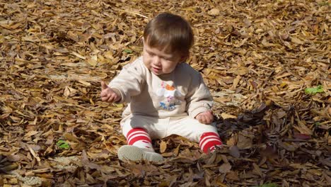 Cute-baby-girl-toddler-playing-with-yellow-dried-fallen-leaves-in-a-park-sitting-on-a-ground