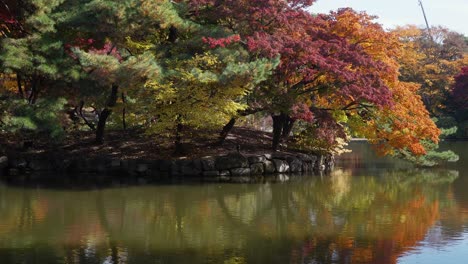 The-shore-of-the-pond,-autumnal-trees-over-the-water-and-bright-sunlight