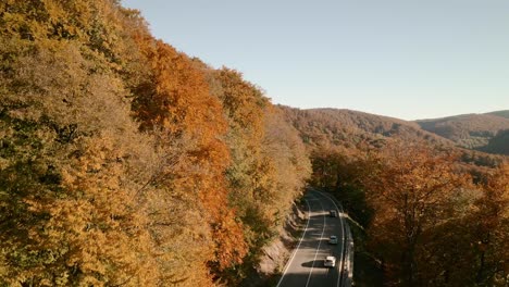 Luftaufnahmen-Von-Autos,-Die-Entlang-Einer-Malerischen-Straße-In-Einem-Herbstfarbenen-Wald-In-Einer-Malerischen-Slowakischen-Landschaft-Fahren