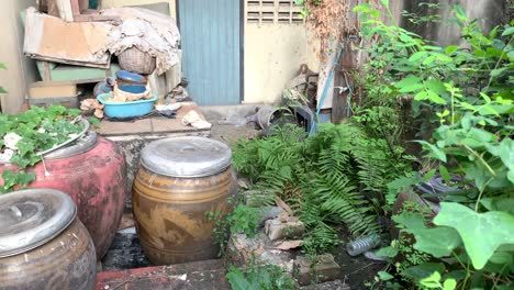 Abandoned-house-with-pots-and-various-utensils-in-garden