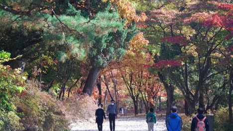 Korean-people-in-face-masks-strolling-in-Changgyeong-Palace-Garden-in-Autumn-with-colorful-fall-foliage-around-during-covid-19-outbreak-in-Seoul