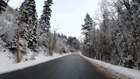 POV-From-A-Car-Traveling-Through-Empty-Asphalt-Road-Passing-By-Snowy-Forest-At-Rocky-Mountains-In-Utah