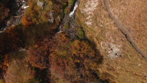 Bach,-Der-über-Herbstliches-Waldtal-Im-Piemont,-Italien-Fließt