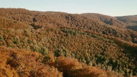 Luftneigung-Nach-Unten-Blick-Auf-Eine-Malerische-Straße,-Die-Sich-Durch-Herbstfarbenen-Wald-In-Einer-Malerischen-Slowakischen-Landschaft-Schlängelt