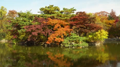 Fall-colour-trees-reflected-in-the-still-waters-of-Chundangji-lake,-Seoul,-South-Korea