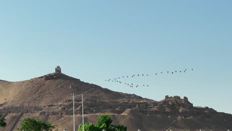 Flock-of-birds-flying-in-a-desert,-over-the-River-Nile,-near-Aswan