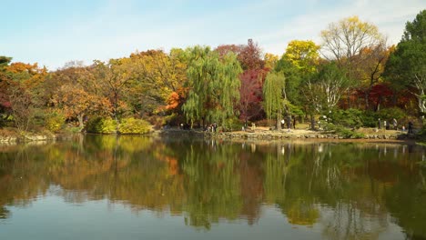 Malerische-Herbstlandschaft-Mit-Stetigem-See-Und-Leuchtend-Bunten-Bäumen,-Die-Sich-Im-November-Im-Chundangji-teichwasser-Widerspiegeln,-Mit-Koreanischen-Leuten,-Die-Auf-Dem-Hintergrund-Herumlaufen,-Seoul,-Südkorea