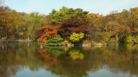 Autumn-Reflections-Chundangji-pond,-South-Korea