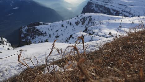 Stetiger-Schuss,-Trockenes-Gras-Auf-Dem-Schneebedeckten-Berg-In-Italien,-Malerische-Ansicht-Des-Nebels,-Der-über-Der-Bergkette-Aufsteigt