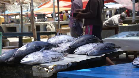 Lots-of-huge-fish-pilled-up-and-ready-for-sale-at-the-local-outdoor-fish-market-in-Negombo,-Sri-Lanka