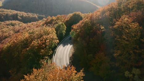 Beautiful-aerial-overhead-footage-of-cars-driving-on-a-scenic-road-winding-in-an-autumn-coloured-forest