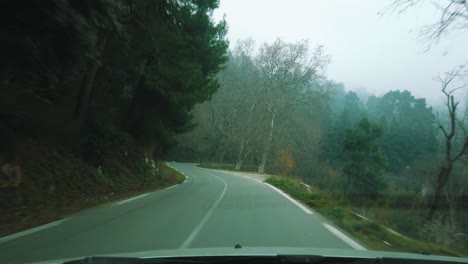 Driving-in-forest-road-acrossing-Cedrus-trees-and-beautiful-nature-,-in-ATLAS-mountains,-asphalt-road-,-road-to-chrea-national-park---algeria