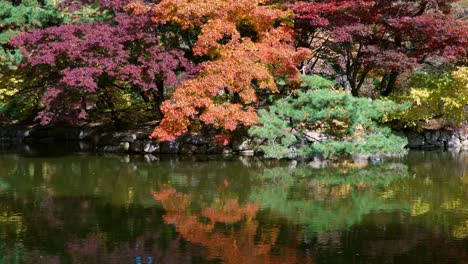 Orange,-red-green-trees-bent-over-the-Chundangji-pond-and-reflected-in-green-water-like-in-mirrror