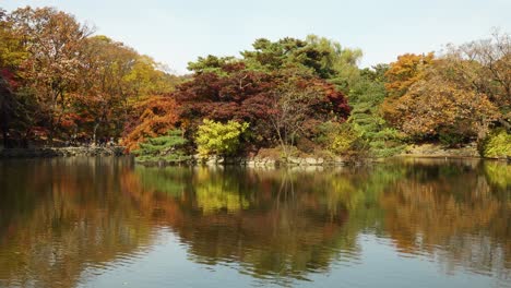 Colorful-Autumn-Trees-reflection-in-Chundangji-Lake,-South-Korea