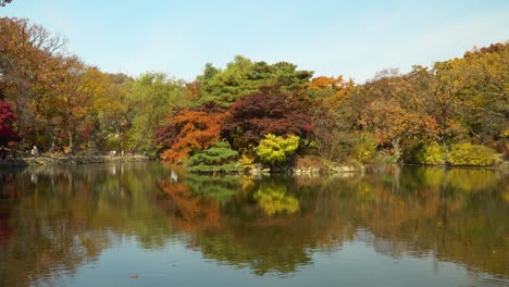 Autumn-foilage-and-sky-reflection-in-standing-water-of-Chundangji-pond,-Seoul,-South-Korea