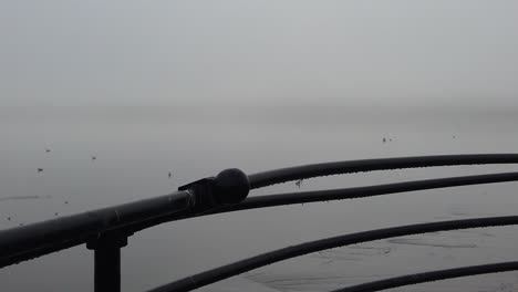 Seagulls-flying-slow-motion-from-railings-across-ghostly-misty-river